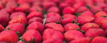 Festa de Flores e Morangos realiza 44ª edição em Atibaia