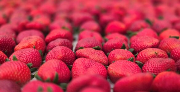 Festa de Flores e Morangos realiza 44ª edição em Atibaia