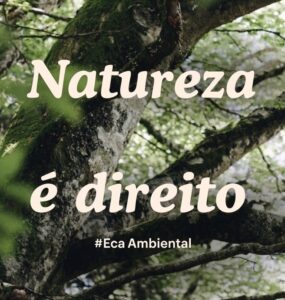ECA Ambiental é aprovado no Congresso Nacional
