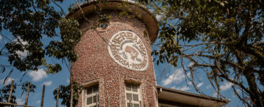 Pesquisa em herbário de SC descobre seis espécies de plantas