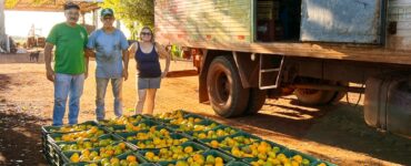 Sidrolândia lidera CeasaMS com a força do pequeno agricultor
