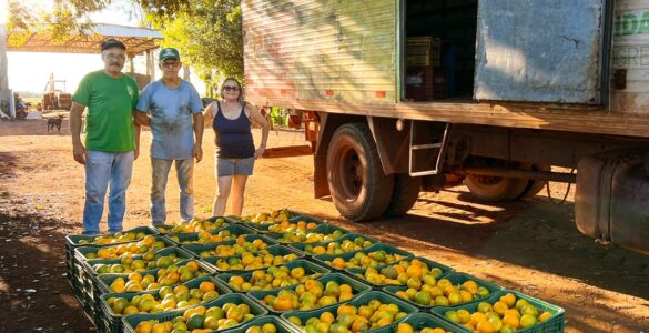 Sidrolândia lidera CeasaMS com a força do pequeno agricultor