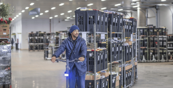 Gestão de dados impulsiona cooperativa e ganha projeção