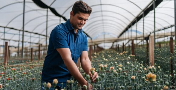 Primavera destaca diversidade no mercado de flores