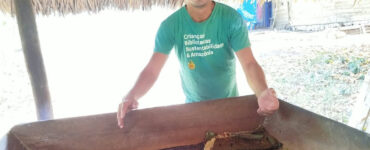 Dia da Amazônia: clima e território mudam a alimentação