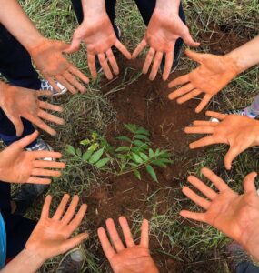 Relatórios de sustentabilidade de escolas ganham relevância