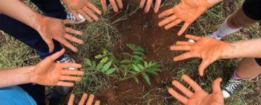 Relatórios de sustentabilidade de escolas ganham relevância