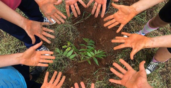 Relatórios de sustentabilidade de escolas ganham relevância