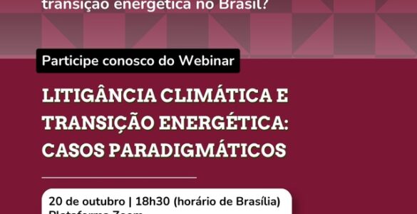 Webinário debate avanço da litigância climática