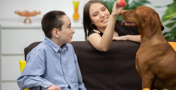 Atendimento gratuito com cães para crianças neurodivergentes