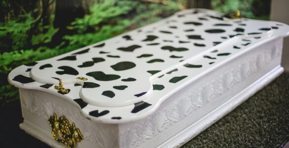 Grupo Zelo detalha opções de despedida para pets