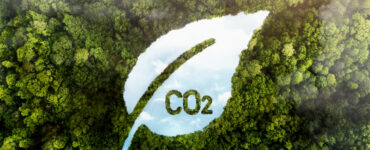 Crédito de carbono de alta qualidade sobe 75%, diz MSCI