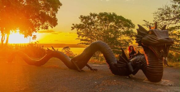 Esculturas e obras, a arte que nasce do Rio São Francisco